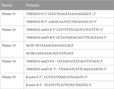 Identification of novel TMEM231 gene splice variants and pathological findings in a fetus with Meckel Syndrome